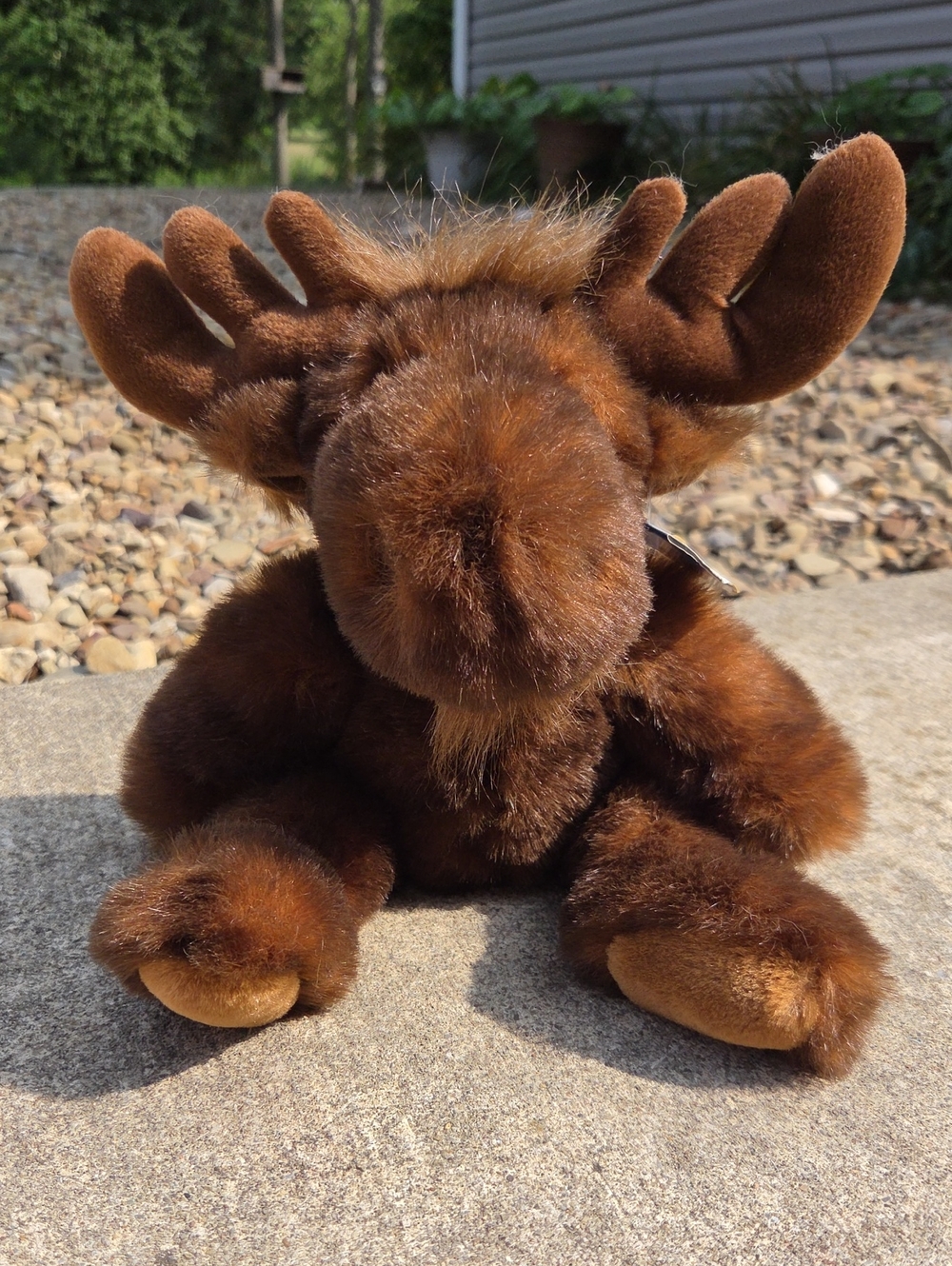 Purr-fection plush by MJC Baby Harley Moose 1992